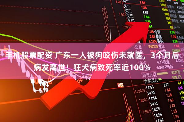 手机股票配资 广东一人被狗咬伤未就医，3个月后病发离世！狂犬病致死率近100%