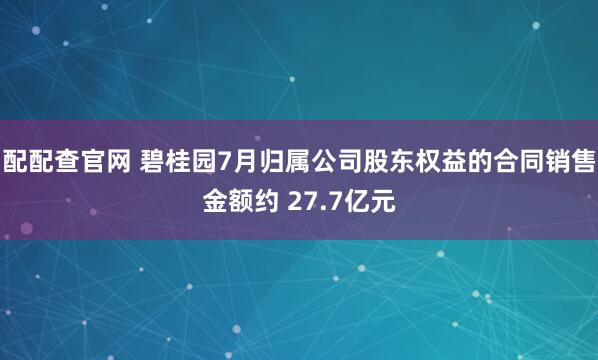 配配查官网 碧桂园7月归属公司股东权益的合同销售金额约 27.7亿元