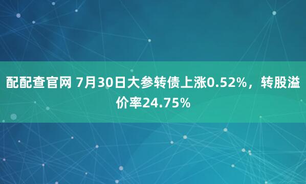 配配查官网 7月30日大参转债上涨0.52%，转股溢价率24.75%