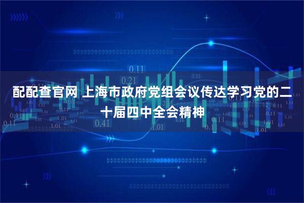 配配查官网 上海市政府党组会议传达学习党的二十届四中全会精神
